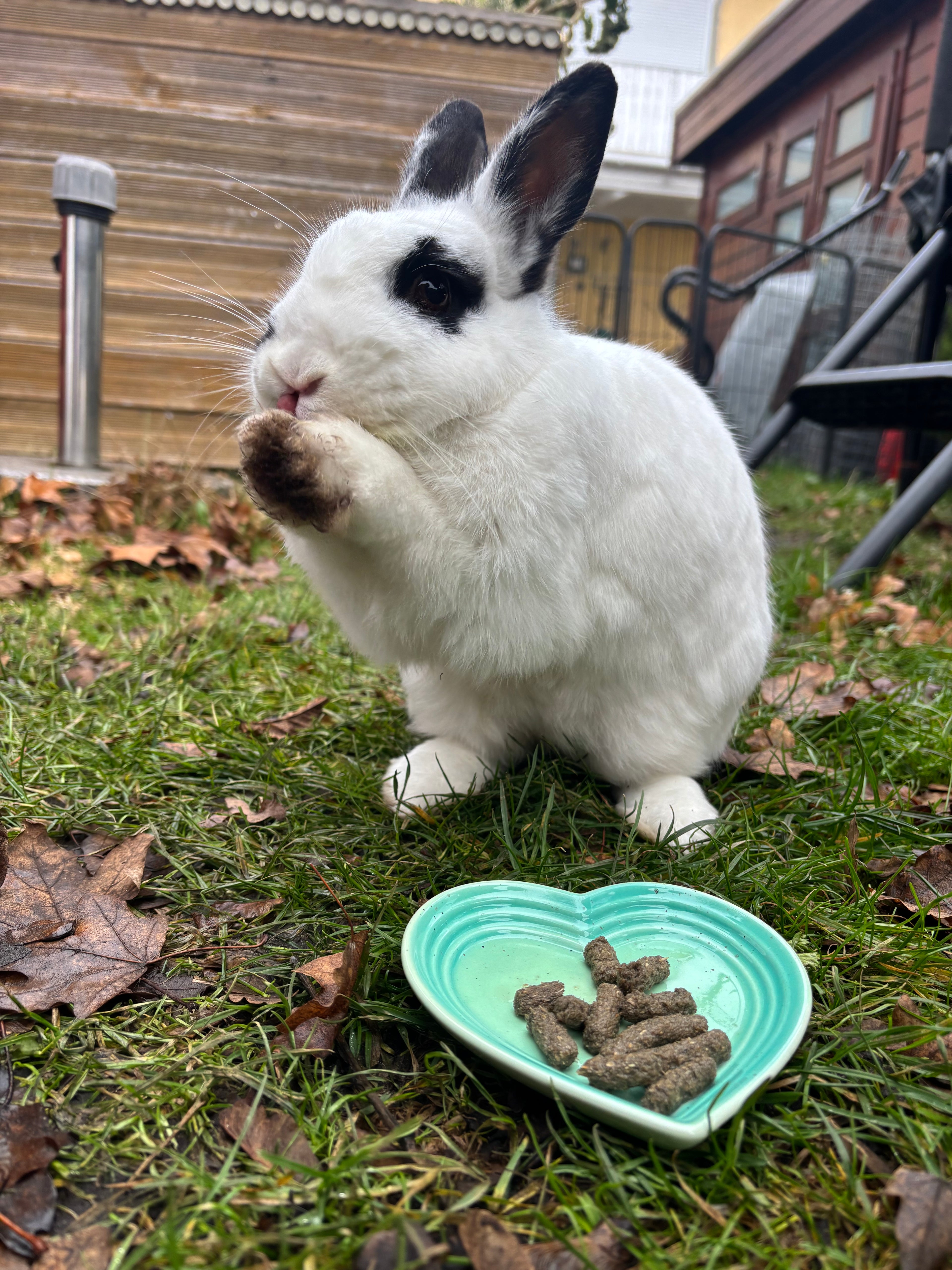 Sweet Heart Cuni-und Kräuter Teller